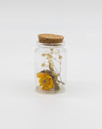 Dried Florals in Glass